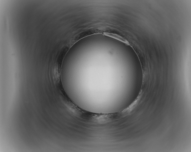 X0000115850186200911201621