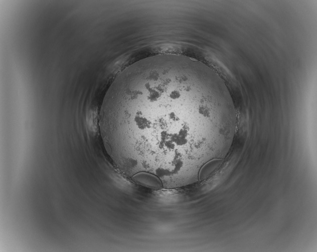 X0000115850189200911201621