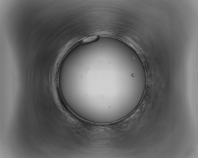 X0000115850193200911201620