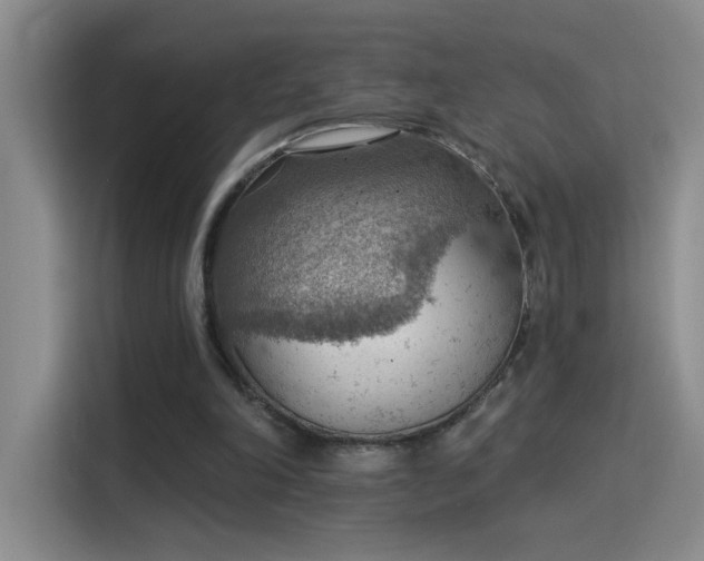 X0000115850198200911201620