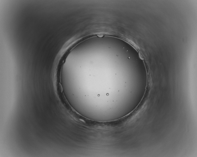 X0000115850199200911201620
