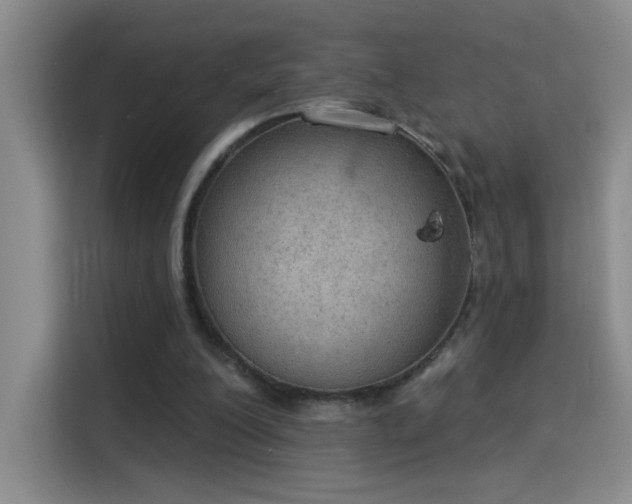 X0000115850200200911201620