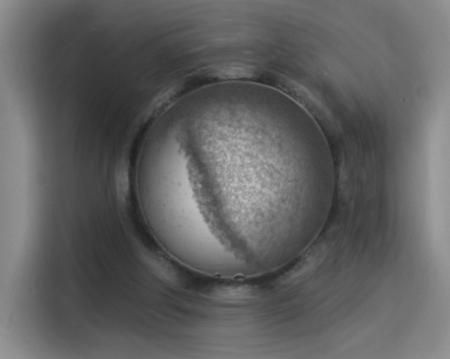 X0000115850202200911201620