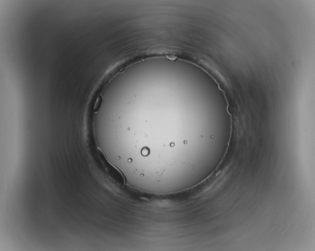 X0000115850203200911201620
