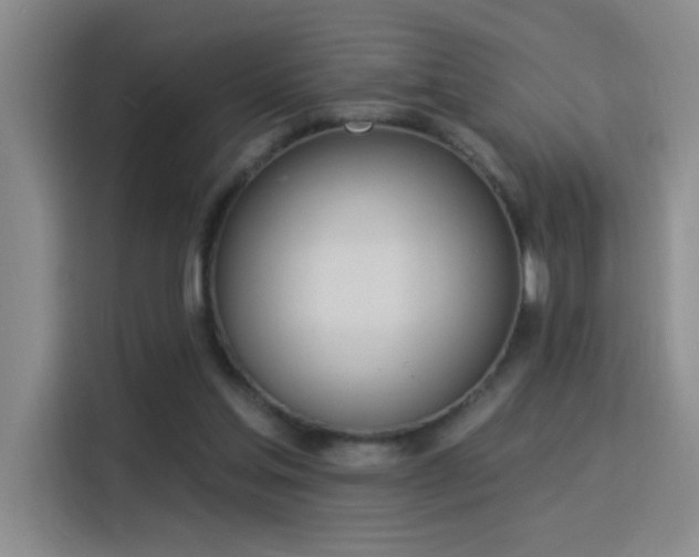 X0000115850205200911201620