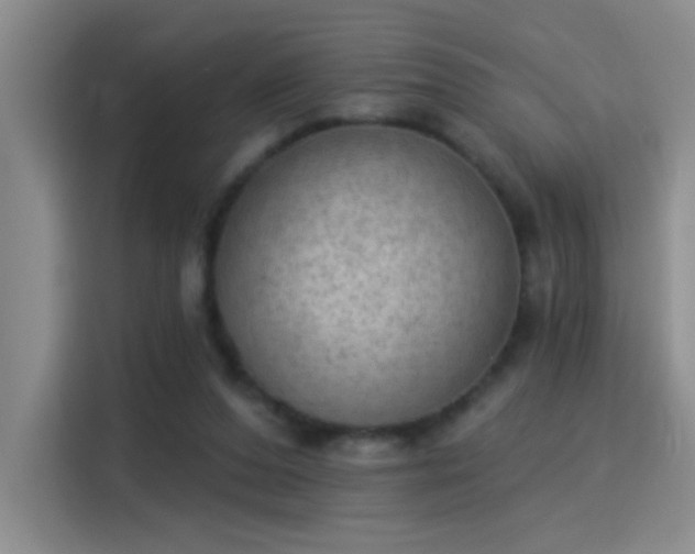 X0000115850208200911201620