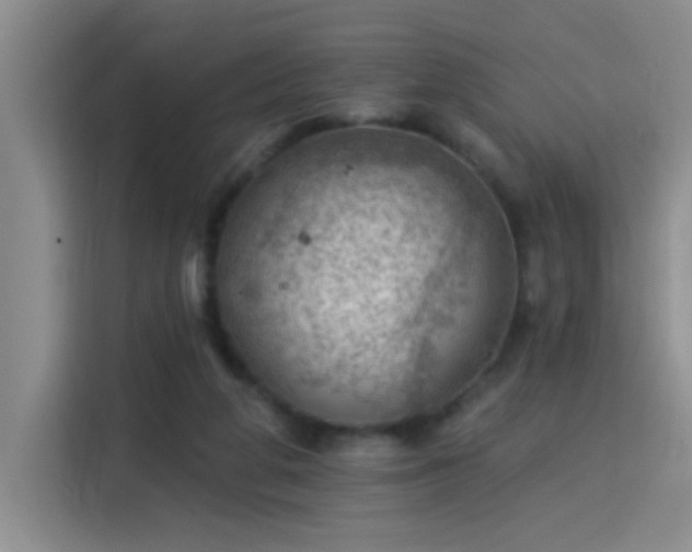 X0000115850210200911201620
