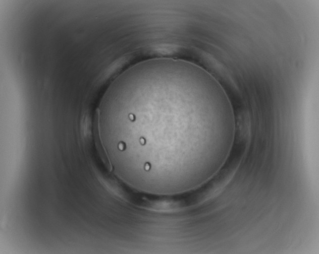 X0000115850212200911201620