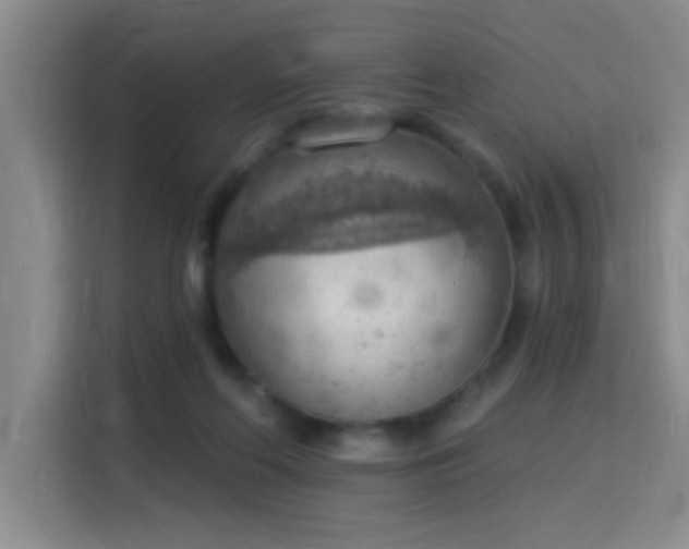 X0000115850214200911201620
