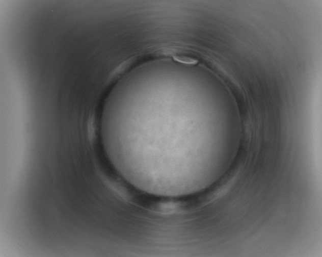 X0000115850216200911201620
