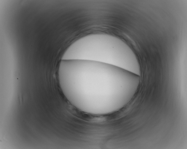 X0000115850217200911201620