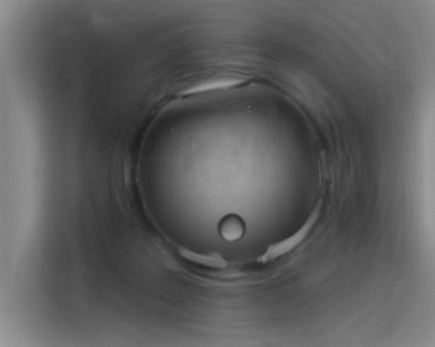 X0000115850219200911201620