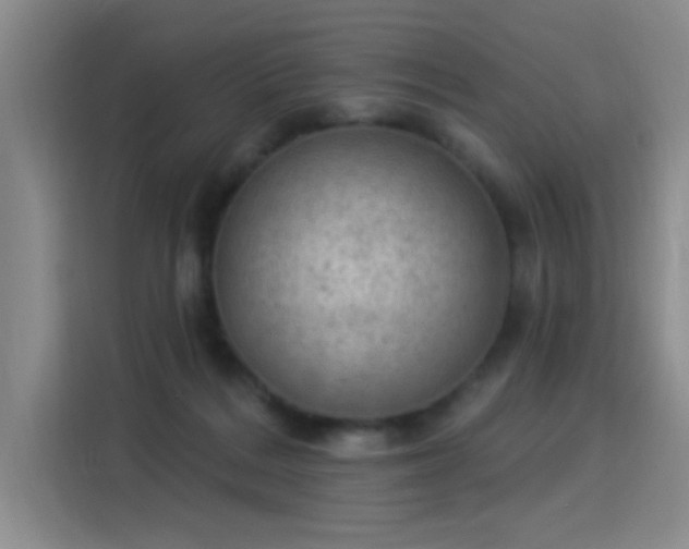 X0000115850220200911201620
