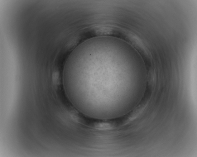X0000115850224200911201620