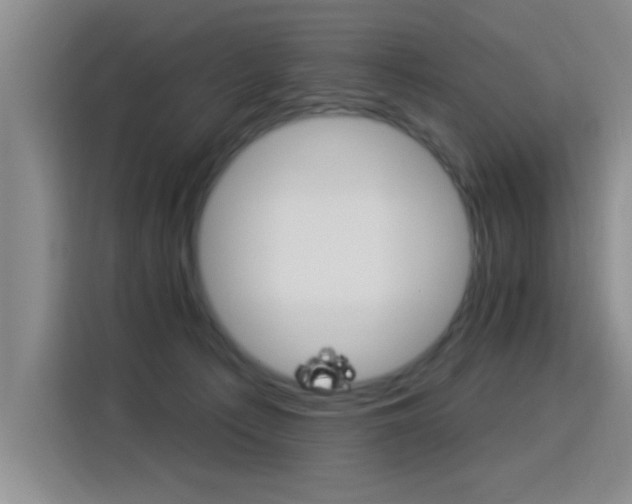 X0000115850225200911201620
