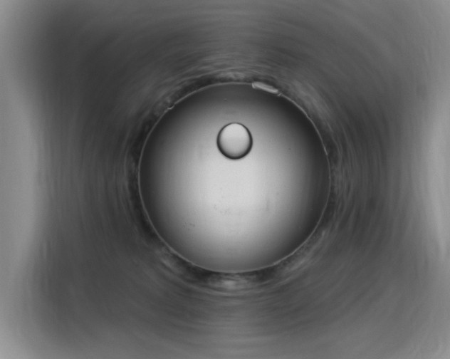 X0000115850229200911201620