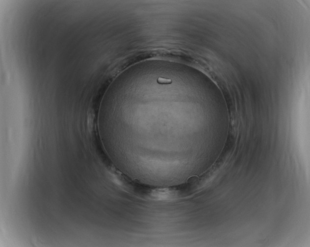 X0000115850231200911201620