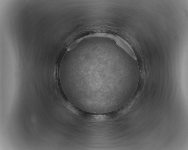 X0000115850233200911201620