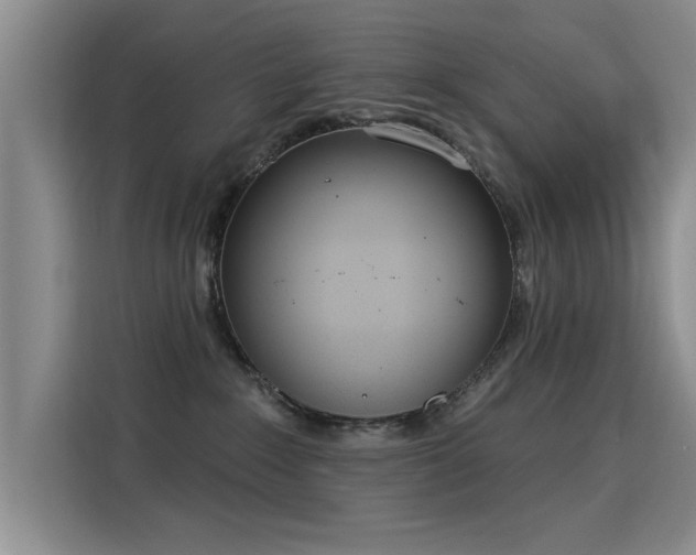 X0000115850235200911201620