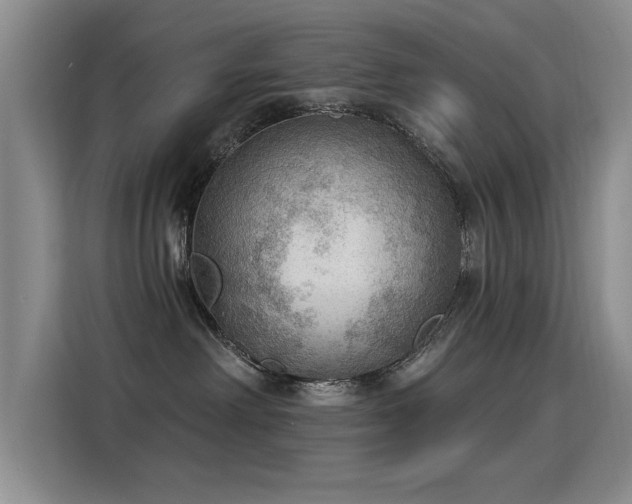 X0000115850238200911201620