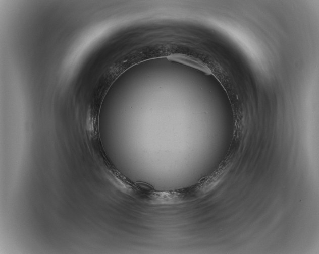 X0000115850239200911201620