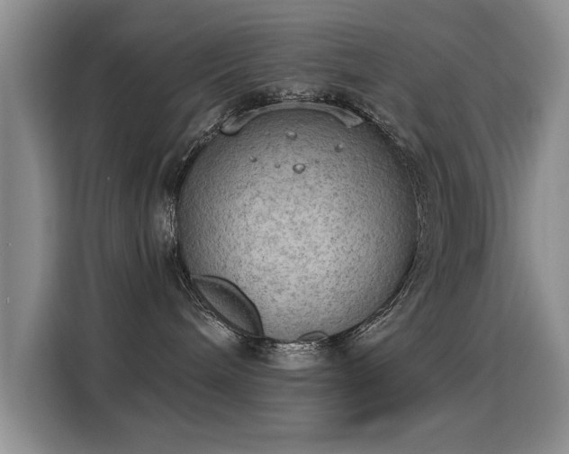 X0000115850240200911201620