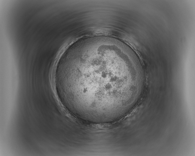 X0000115850241200911201619