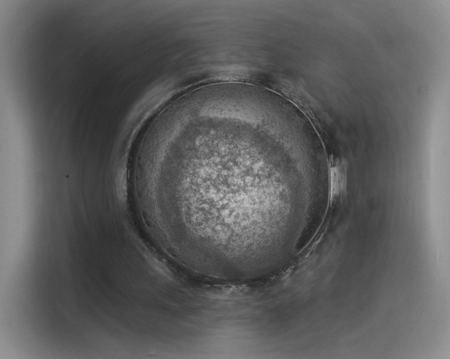 X0000115850243200911201619