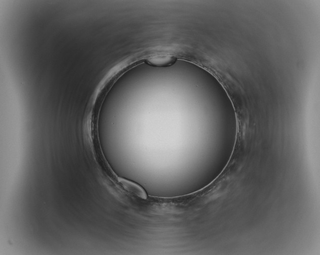 X0000115850244200911201619