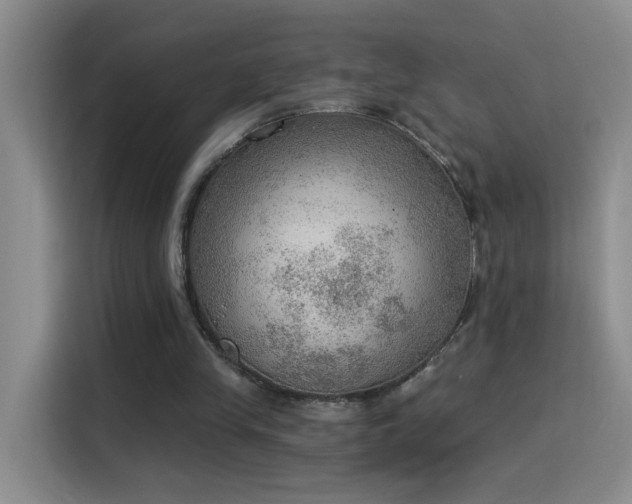 X0000115850245200911201619