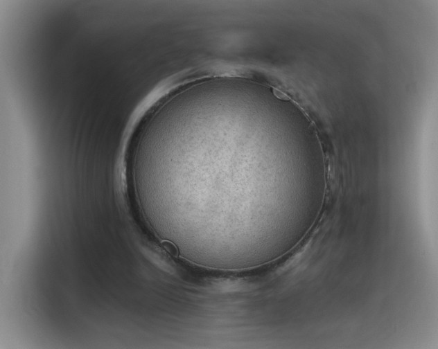 X0000115850246200911201619
