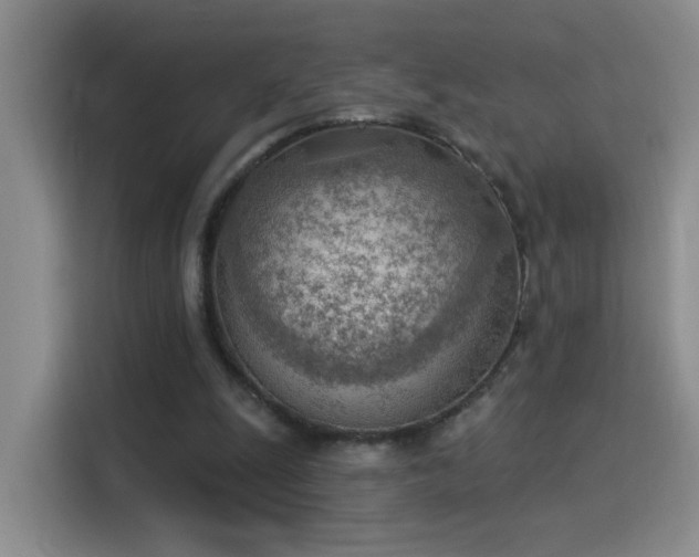 X0000115850247200911201619