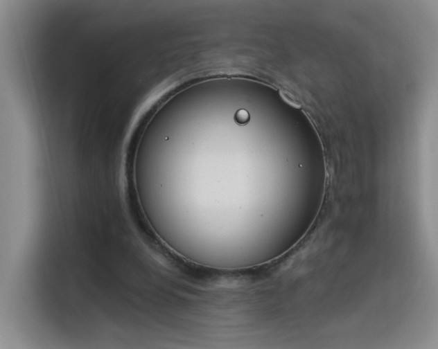 X0000115850248200911201619