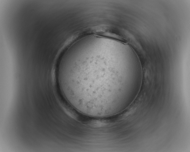 X0000115850250200911201619