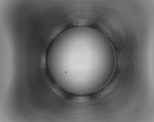 X0000115850251200911201619
