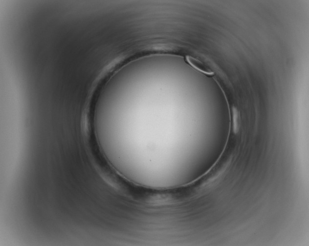 X0000115850252200911201619