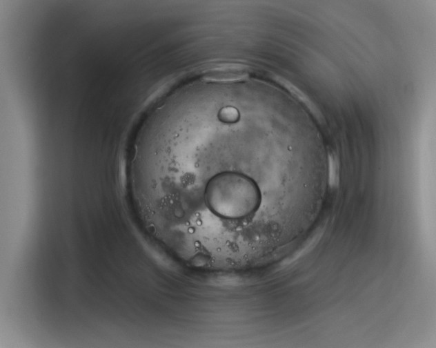 X0000115850253200911201619