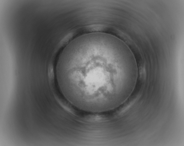 X0000115850254200911201619
