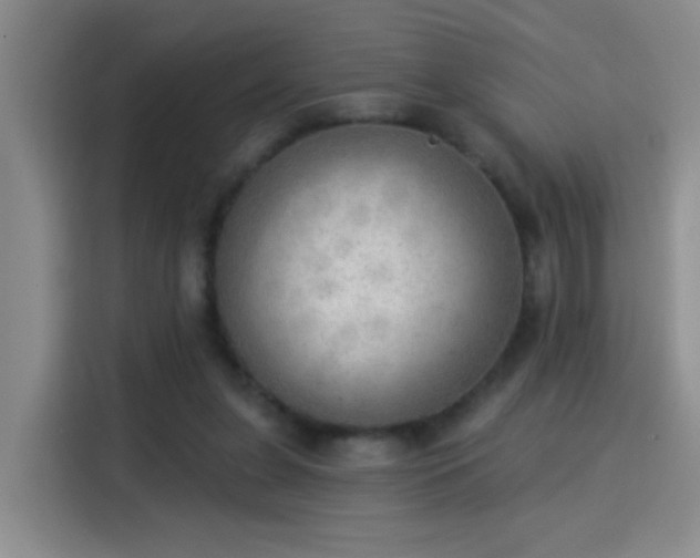 X0000115850255200911201619