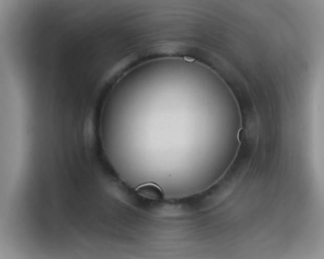 X0000115850256200911201619