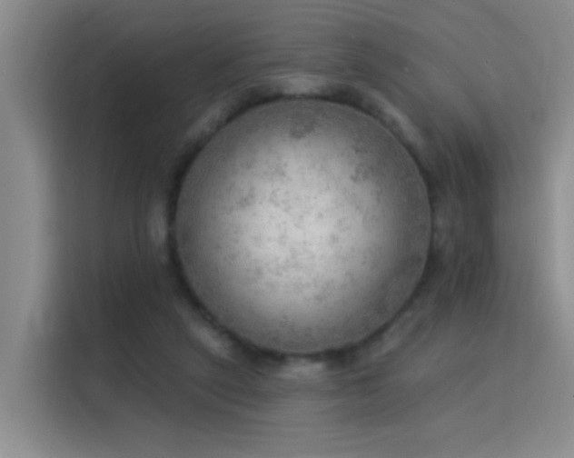 X0000115850257200911201619