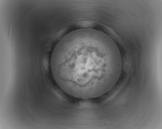 X0000115850259200911201619