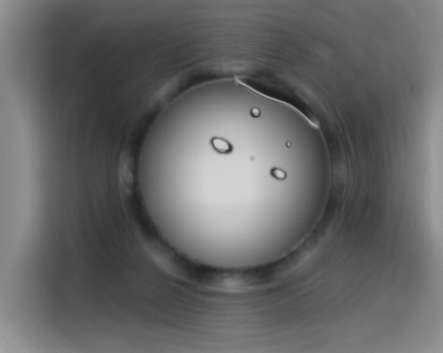 X0000115850264200911201619