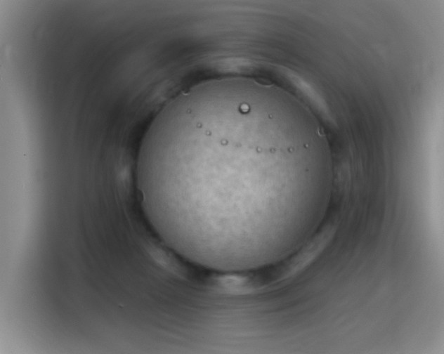 X0000115850265200911201619