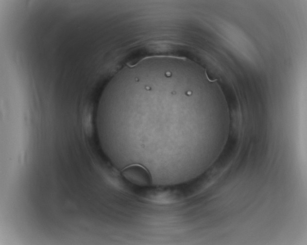 X0000115850267200911201619