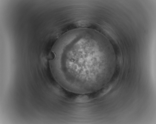 X0000115850271200911201619