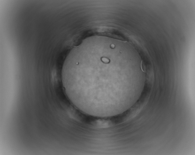 X0000115850272200911201619