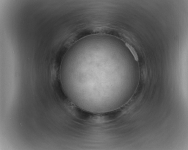 X0000115850276200911201619