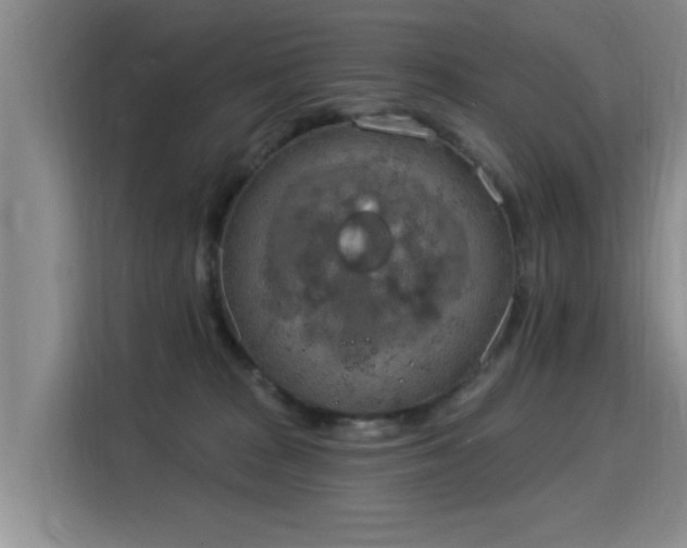 X0000115850277200911201619
