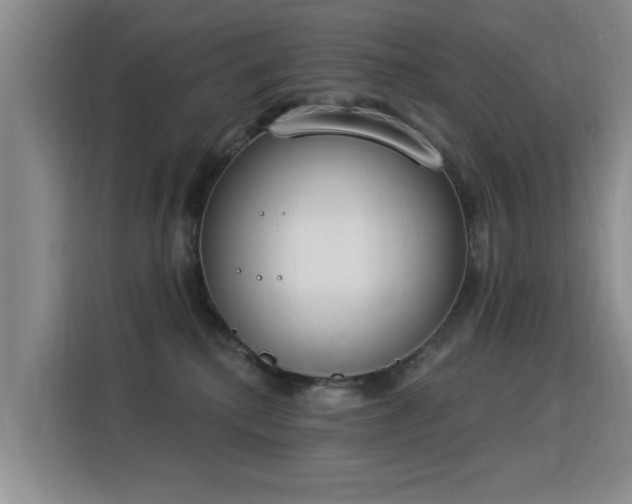 X0000115850280200911201619